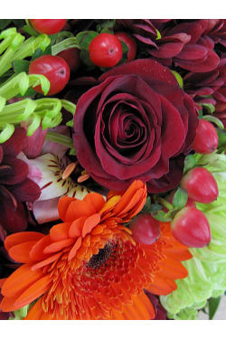 Perfection Posy - Standard