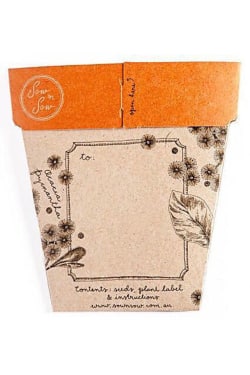 Golden Wattle Seeds - Standard