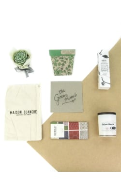 The Green Thumb - Standard