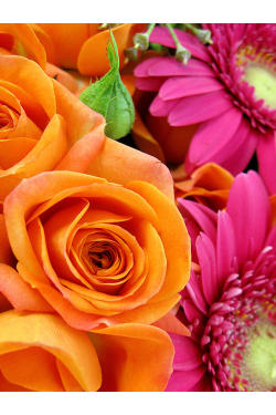 Vivacious Posy - Standard