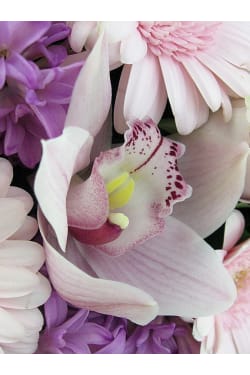 Prettiest Pastels Posy - Standard