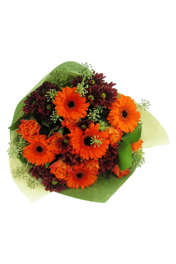 Persimmon Punch Posy - Standard