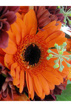 Persimmon Punch Posy - Standard