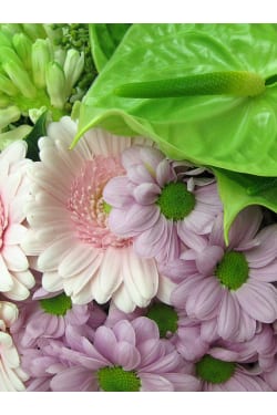 Sprinkled Sugar Posy - Standard
