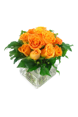 Orange Rose Vase - Standard