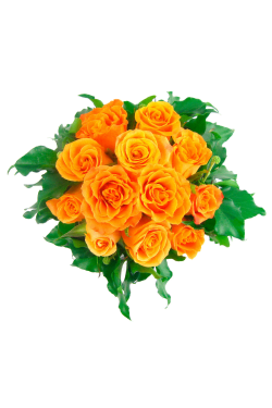 Orange Rose Vase - Standard