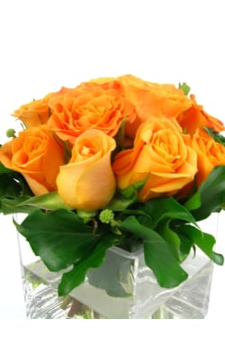 Orange Rose Vase - Standard