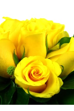 Yellow Rose Vase - Standard
