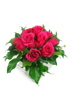 Bright Pink Rose Vase - Standard