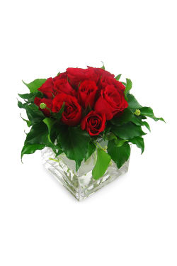 Red Rose Vase - Standard