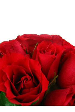 Red Rose Vase - Standard