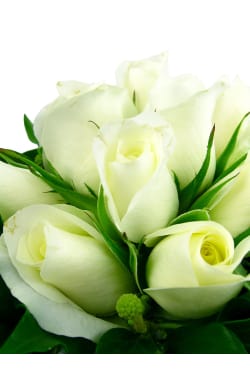 White Rose Vase - Standard