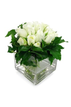 White Rose Vase - Standard
