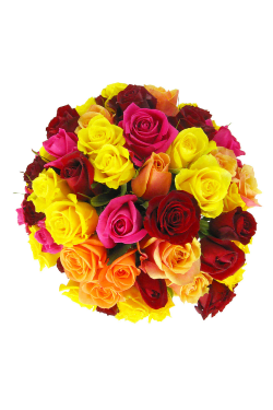 Mixed Bright Rose Bowl - Standard