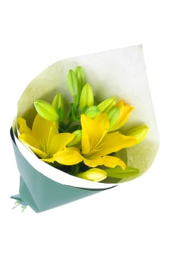 Yellow Lily Bunch - Standard