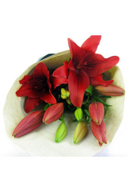 Red Lily bunch - Standard
