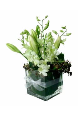 Sweet Sophistication - Standard