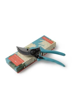 Chrysanthemum Secateurs - Standard