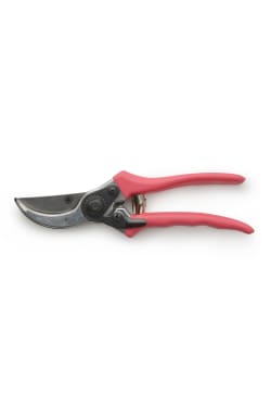 Rosa Chinensus Secateurs - Standard