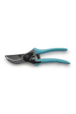 Chrysanthemum Secateurs - Standard