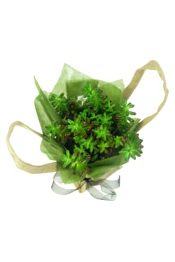 Desert Jewel In Hessian Bag - Standard