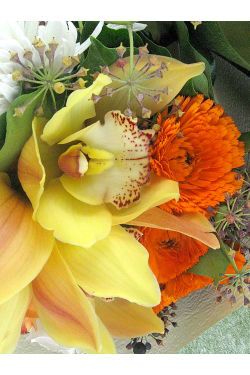 Song of Spring Posy - Standard