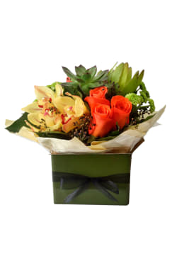 Beauty Bursts Forth - Standard