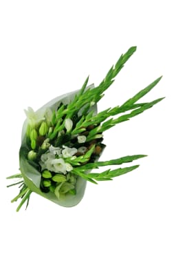 Springtime Splendour - Standard