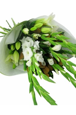 Springtime Splendour - Standard
