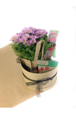 How Does Your Garden Grow - Standard