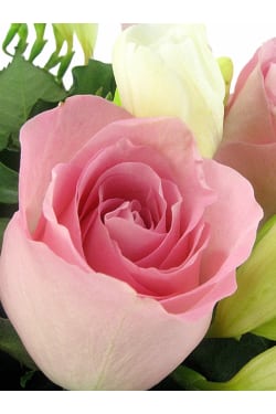 Roses and Freesias Vase - Deluxe