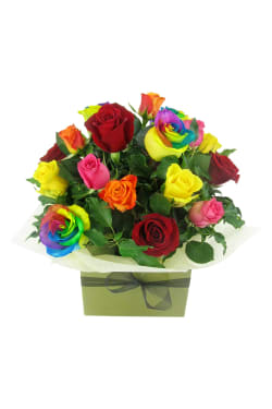 Lollipop Roses - Standard