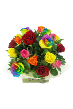 Lollipop Roses - Standard
