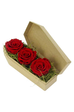 Red Neverending Roses - Standard