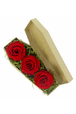 Red Neverending Roses - Standard