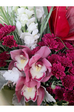 From The Flower Cart - Standard