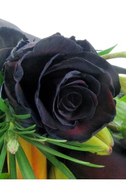 Bold And Beautiful Bouquet - Standard