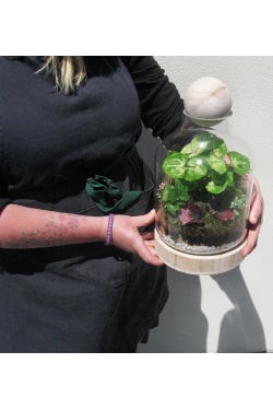 Tropical Forest Terrarium - Standard