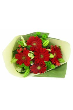 Season"s Greetings - Standard