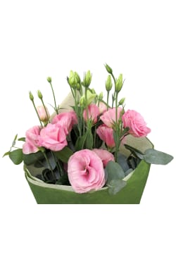 Pink Picture Perfect - Standard