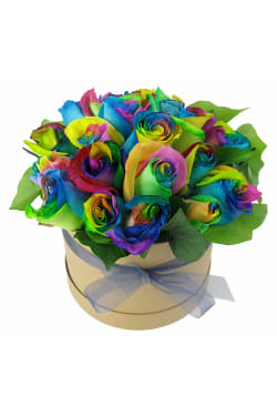 So Fancy - Rainbow Roses - Deluxe