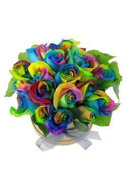 So Fancy - Rainbow Roses - Deluxe