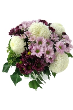 Bloomin' Beautiful - Standard