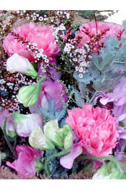 Perfumed Perfection - Standard