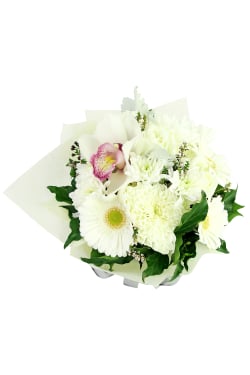Posy Box - Standard