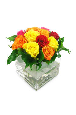 Valentine's Bright Rose Vase - Standard
