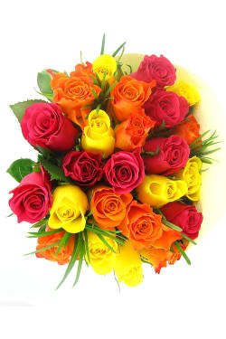Valentine's 24 Bright Roses - Premium