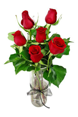 Valentine's 6 Red Rose Vase - 6 Roses (Half Dozen)