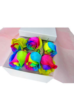 Valentine's 6 Rainbow Rose's - 6 Roses (Half Dozen)
