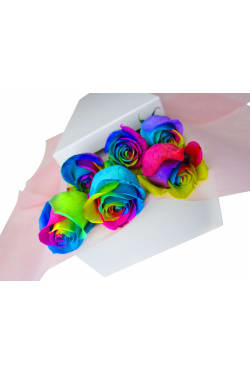Valentine's 6 Rainbow Rose's - 6 Roses (Half Dozen)